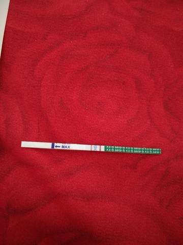 journal_insert_pic_1055599784