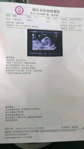 journal_insert_pic_1055591713