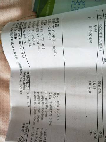 journal_insert_pic_1055703927