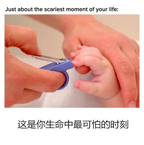 journal_insert_pic_1055481058