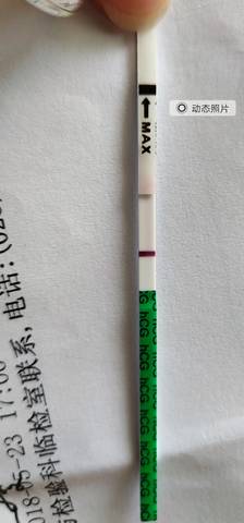 journal_insert_pic_1056724155