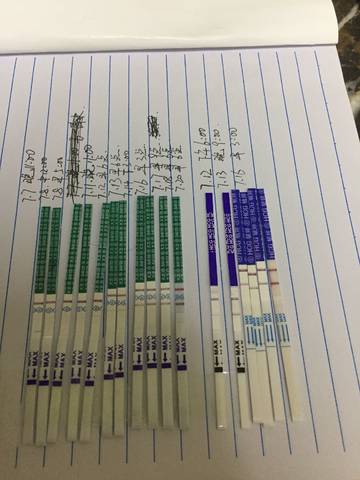 journal_insert_pic_1058211602