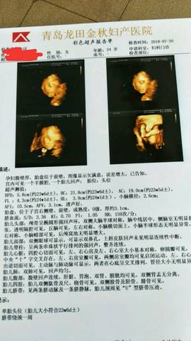 journal_insert_pic_1058106535