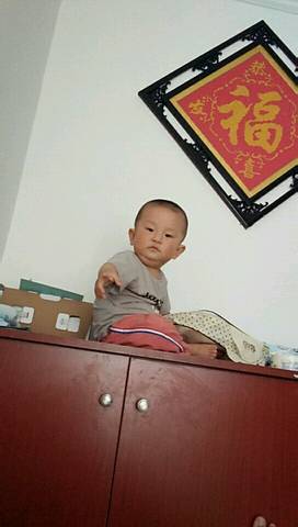 journal_insert_pic_1058534209