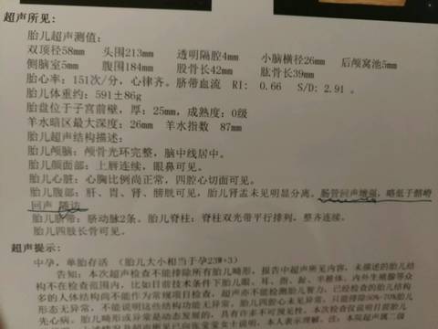 journal_insert_pic_1059385740