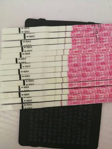 journal_insert_pic_1059525454