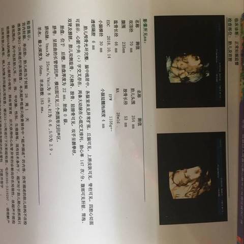 journal_insert_pic_1059811648