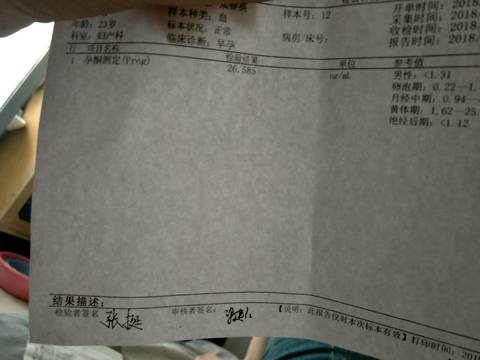 journal_insert_pic_1060500573