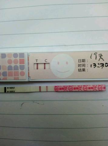 journal_insert_pic_1061459703