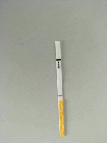 journal_insert_pic_1062030967