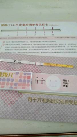 journal_insert_pic_1062154618