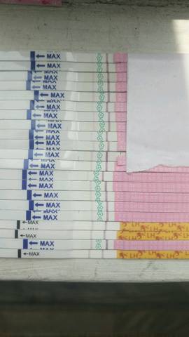 journal_insert_pic_1061769764