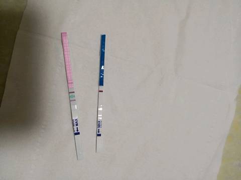 journal_insert_pic_1061628342