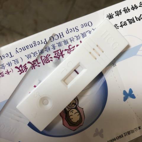 journal_insert_pic_1062418637