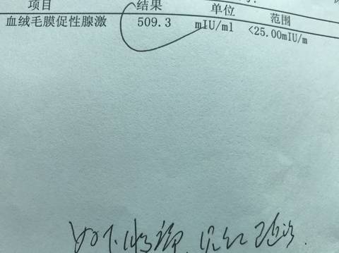 journal_insert_pic_1063021287