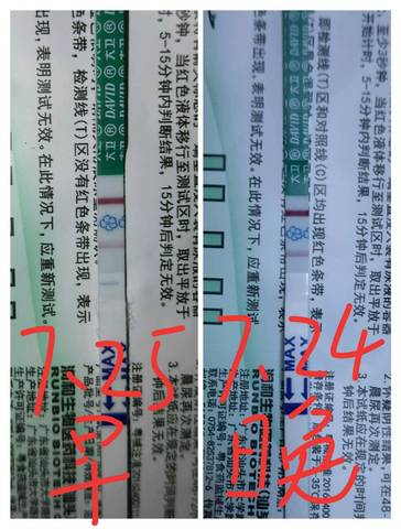 journal_insert_pic_1062902151