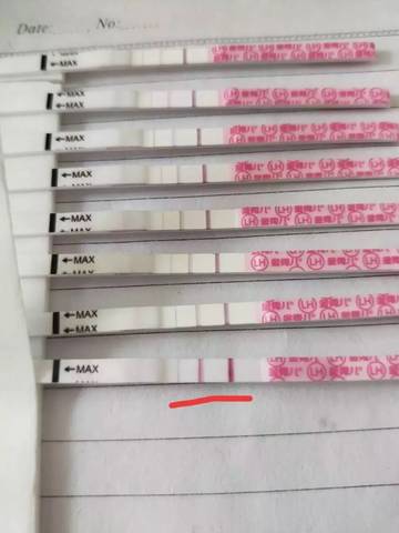journal_insert_pic_1063311490