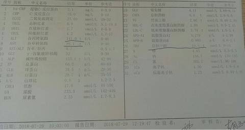 journal_insert_pic_1063690389