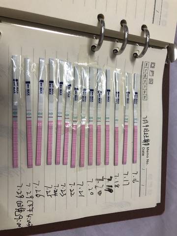 journal_insert_pic_1063926673