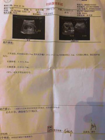 journal_insert_pic_1064634022
