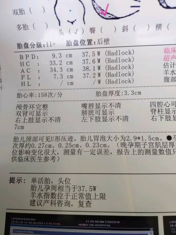 journal_insert_pic_1064804902