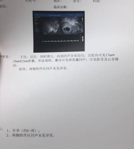 journal_insert_pic_1065607455