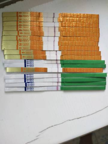 journal_insert_pic_1066069356
