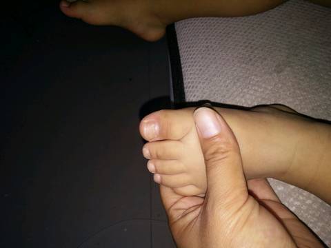 journal_insert_pic_1066453920