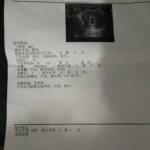 journal_insert_pic_1067043928