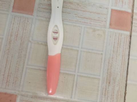 journal_insert_pic_1067027024