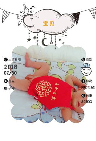 journal_insert_pic_1067068319