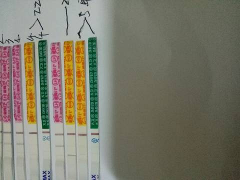 journal_insert_pic_1068020801