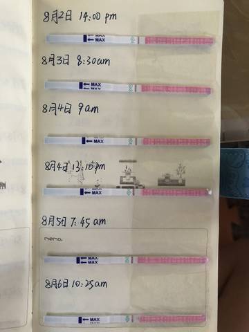 journal_insert_pic_1068720396