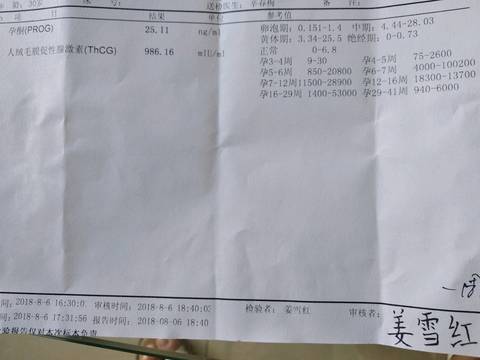 journal_insert_pic_1069478014
