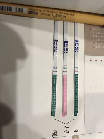 journal_insert_pic_1069824234