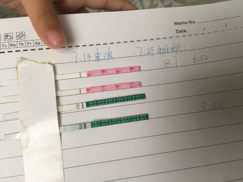 journal_insert_pic_1069306498