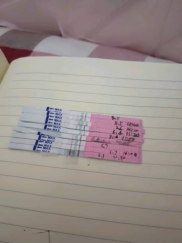 journal_insert_pic_1069729061
