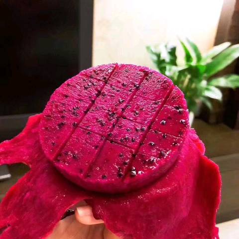 journal_insert_pic_1070042439