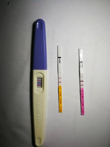 journal_insert_pic_1070075005