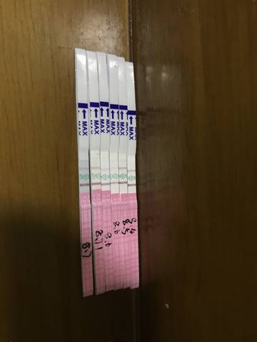 journal_insert_pic_1069968791