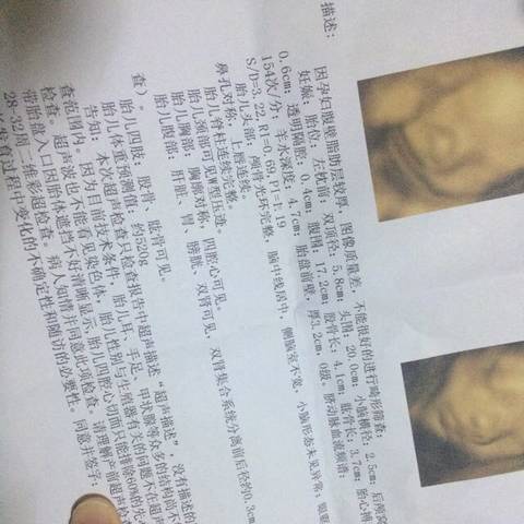 journal_insert_pic_1070358297