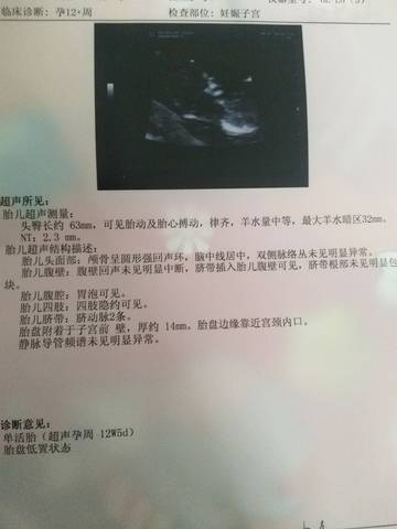 journal_insert_pic_1070731492