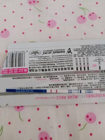 journal_insert_pic_1070517754