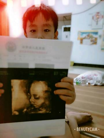 journal_insert_pic_1070847792
