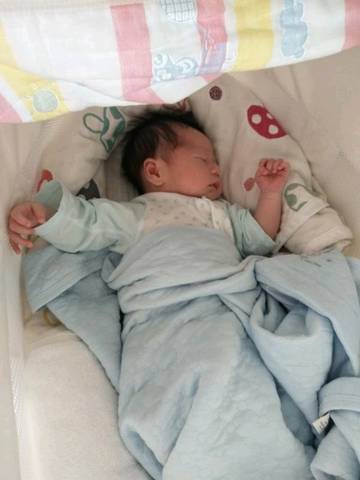 journal_insert_pic_1070717755