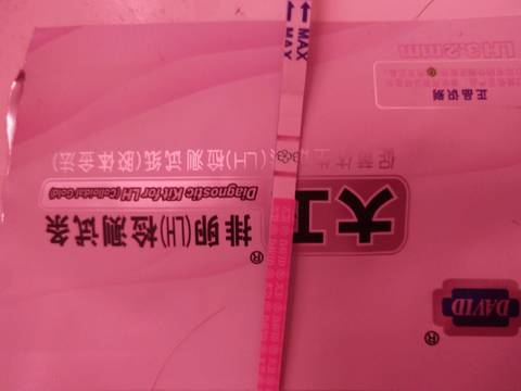 journal_insert_pic_1070624857