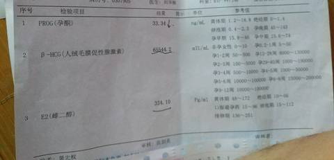 journal_insert_pic_1071452235