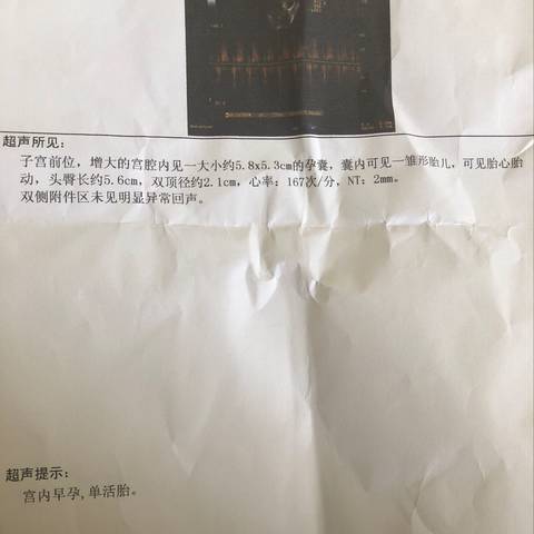 journal_insert_pic_1071230277