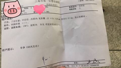 journal_insert_pic_1071202659