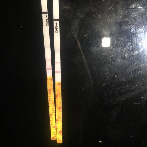 journal_insert_pic_1071534704